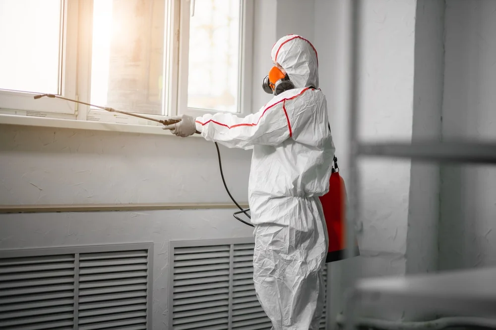 Professional mold remediation services in Bloomfield, CT